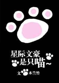 文星际晋江