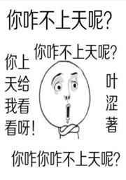 你咋不上天呢飞机模拟驾驶