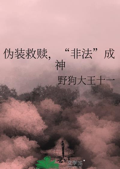 伪装要求