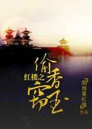 红楼梦7偷香窃玉