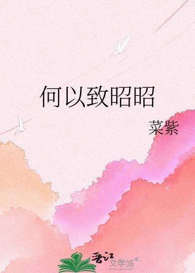 何以致昭昭附带番外