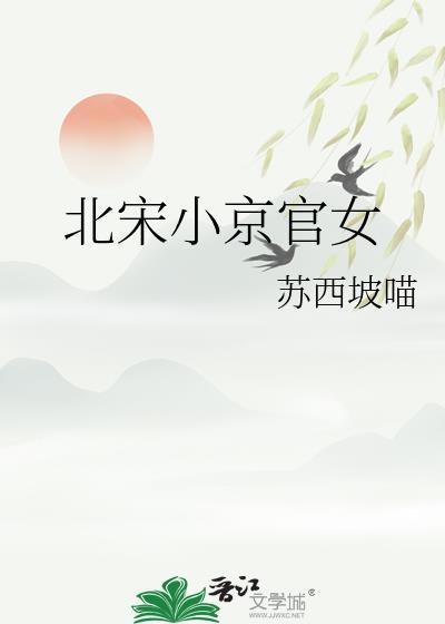 北宋小官人