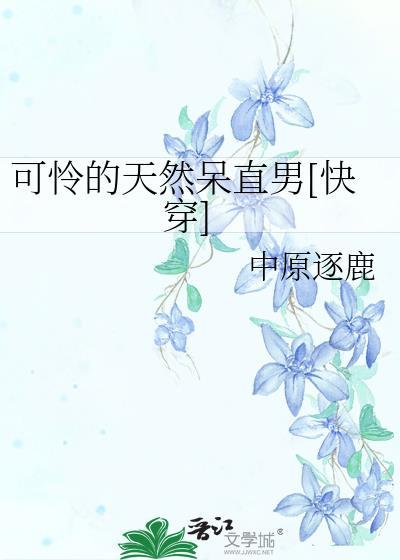 可怜的天然呆直男TXT百度免