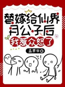 替嫁宸月