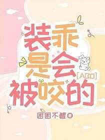 装乖是主攻文吗