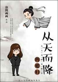 从天而降的老婆