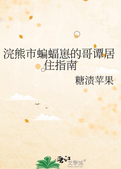 浣熊市与哥谭市的兼容指南