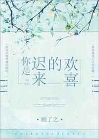 你是迟来的欢喜2026电视剧观看完整版