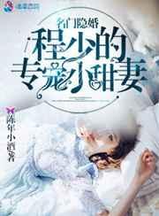 程少的追妻手册原