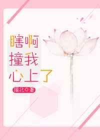 瞎了心了什么意思