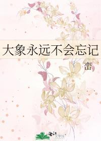 大象是不是从来不忘视频
