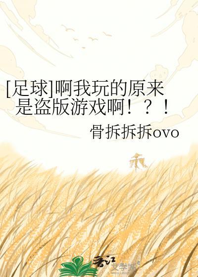 盗版球赛足球
