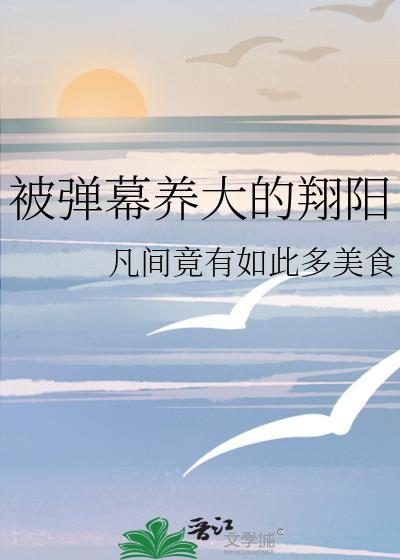 被弹幕养大的翔阳[排球
