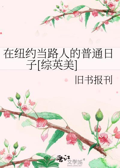 人在纽约英文版