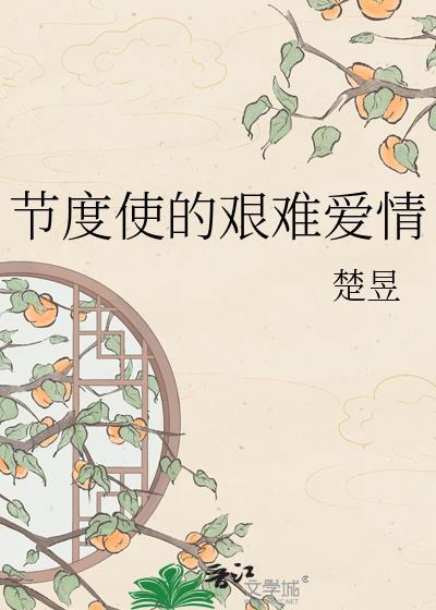 节度使的艰难爱情TXT