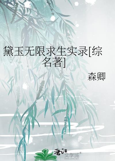 黛玉同人爽文