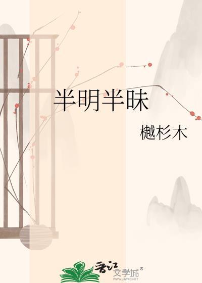 半明半昧近义词
