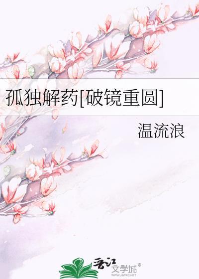 孤独解药txt