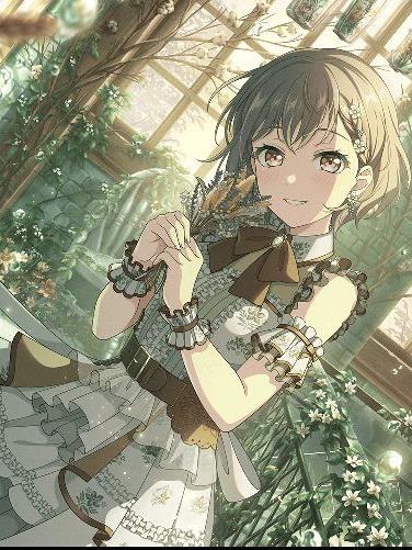 羊宫妃那获奖作品回顾