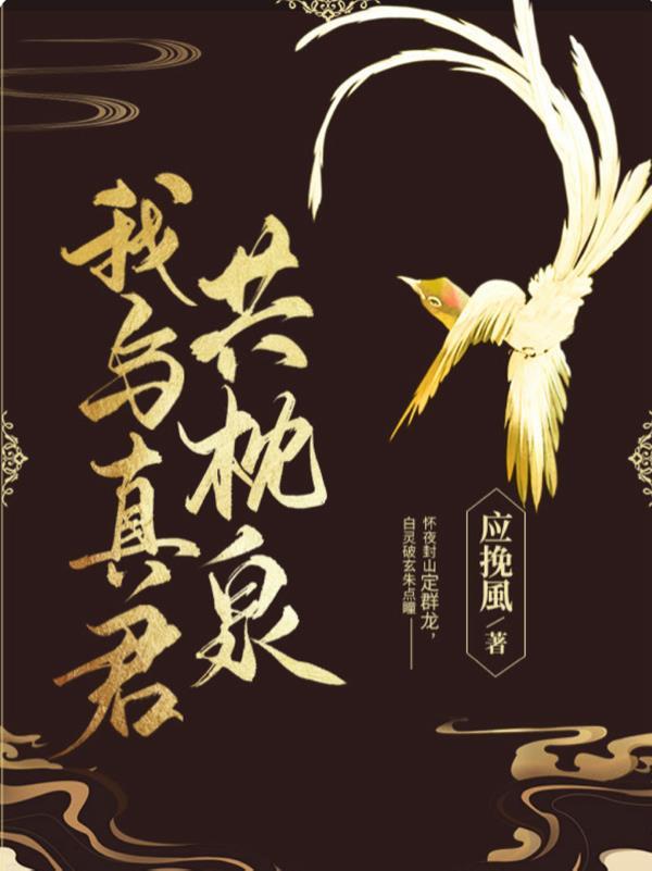 我与真君解战袍全文阅读