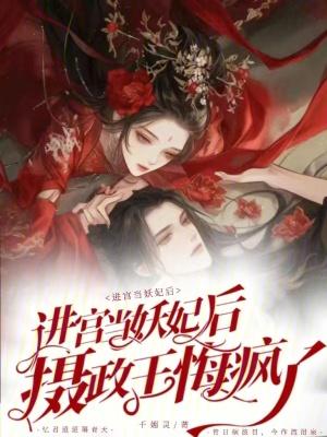 进宫当妃子