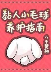 粘人小毛球养护指南