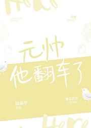 元帅他翻车了全集