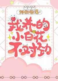小白花他不装了免费阅读