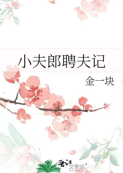 小夫郎聘夫记by金一块免费阅读笔趣阁