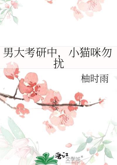 小猫咪勿扰百度