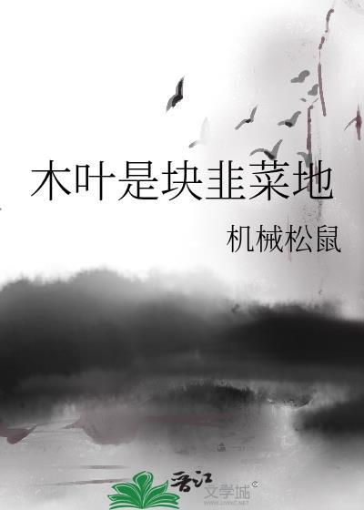木叶菜是什么菜