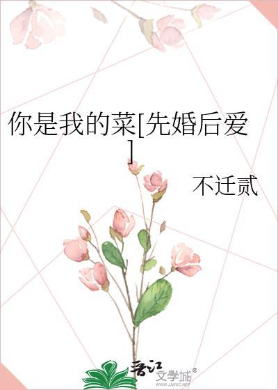 你是我的菜TXT
