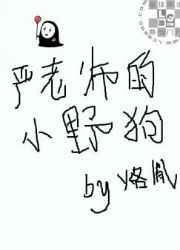 严老师的小野狗免费阅读