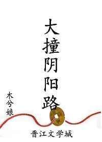 大撞阴阳路晋江文学