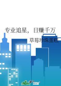 专业追星日赚千万130