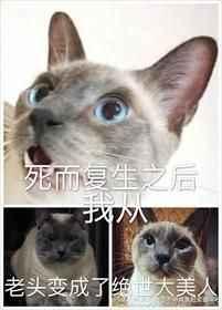 死而复生之后我从老头变成了绝世大美人简介