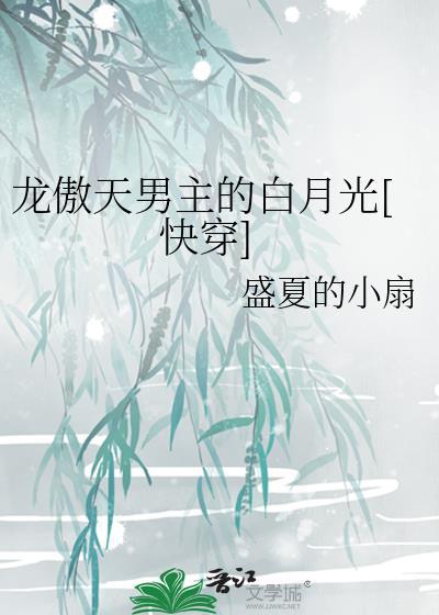 龙傲天男主是个0mega212