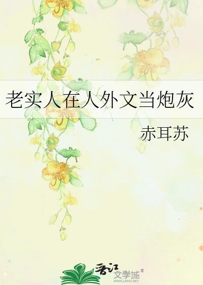 老实人外传叫什么