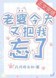 老婆今天又把我忘了免费阅读