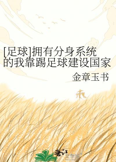 足球拥有分身系统的我靠踢足球建设国家txt