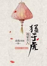 夫人的意思