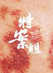 特殊案件调查组vi番外
