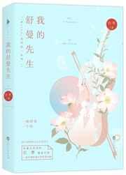 我的舒曼先生大结局是什么