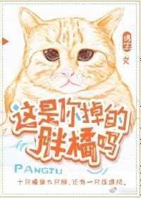 这是你掉的胖橘吗 在线阅读
