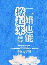 二婚也有爱情全文免费阅读