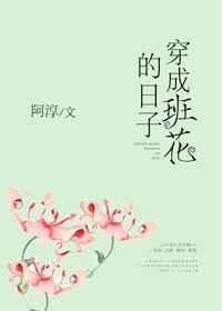 穿成班花的日子的姐妹篇