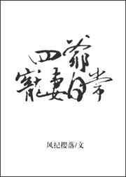 四爷宠上天