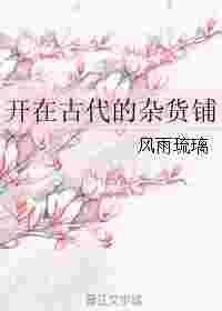 开在古代的杂货铺txt