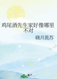 鸡尾酒先生酒廊(隆礼路店)怎么样