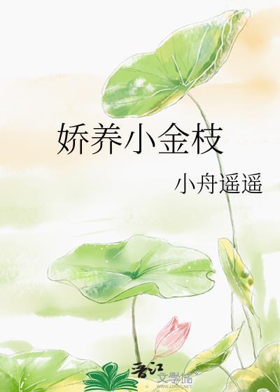 娇养小金枝TXTTXT最新章节更新时